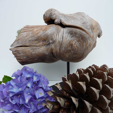 Le Singe des Pinèdes - Sculpture d'animal en bois - Pièce unique sculptée à la main dans une souche de pin