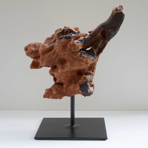 Le Kangourou Espiègle - Sculpture d'animal en bois - Pièce unique faite main en racine de bruyère