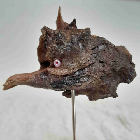 L'oiseau de Paradis - Sculpture d'animal en bois -  Pièce unique sculptée à la main dans une racine de bruyère