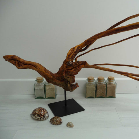 La Langouste aux Coquillages - Sculpture d'animal en bois - Pièce  unique sculptée à la main dans une racine de bruyère