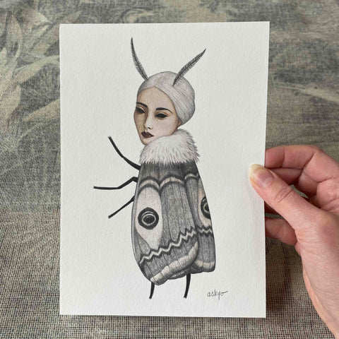 Illustration de Moth, petit papillon de nuit