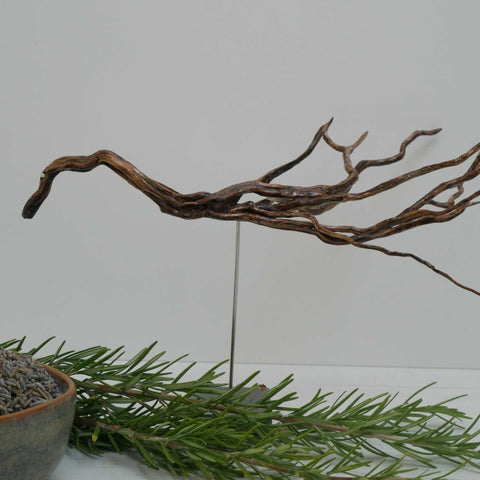 Le Dragon des Garrigues - Sculpture d'animal en bois - Pièce unique sculptée à la main dans une branche de romarin
